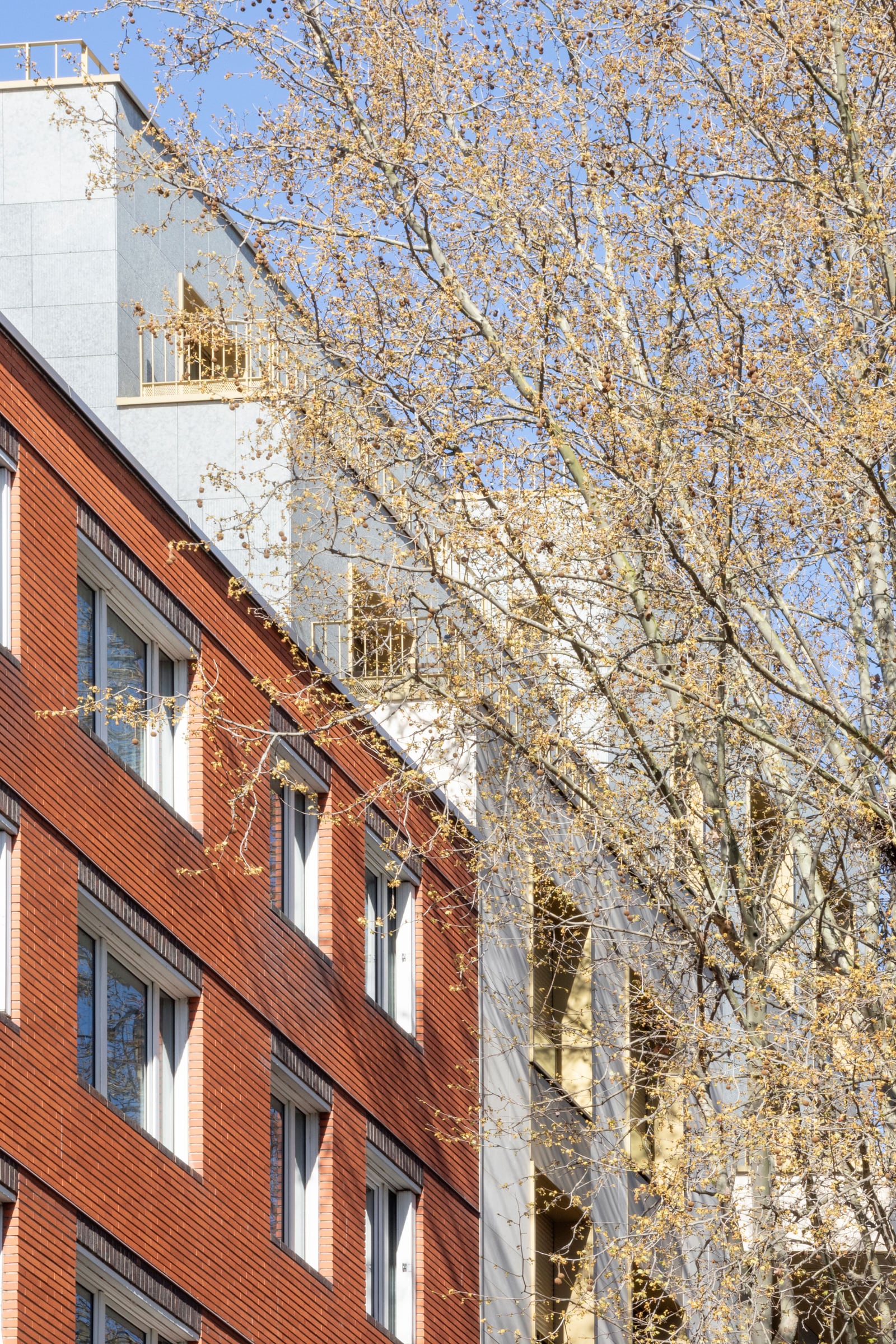 23 LOGEMENTS INTERMEDIAIRES