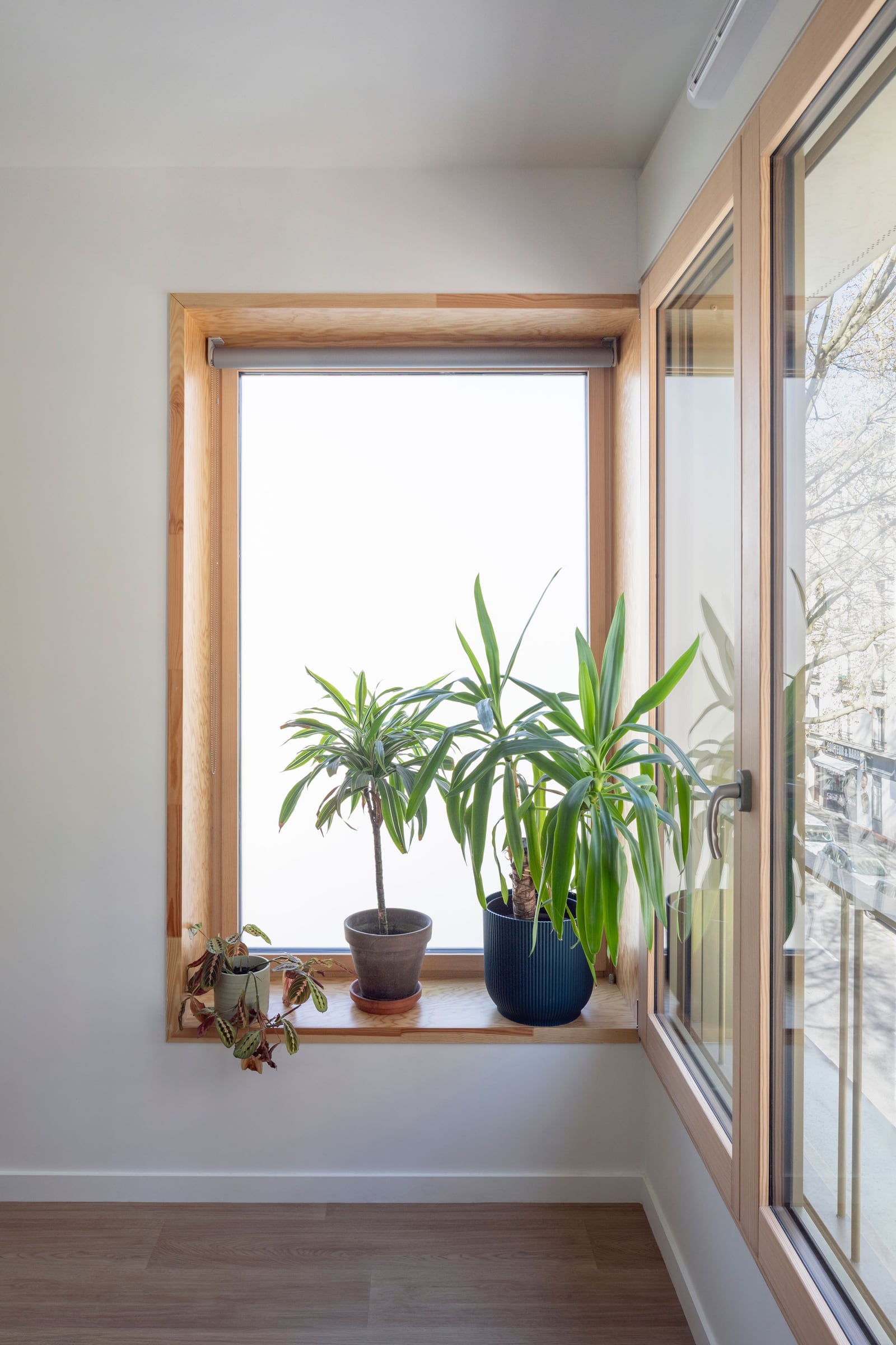 23 LOGEMENTS INTERMEDIAIRES